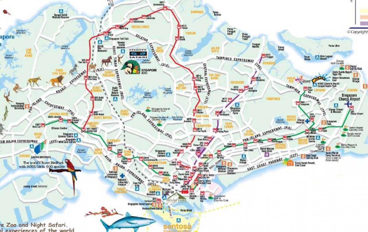 bản đồ đường của Singapore